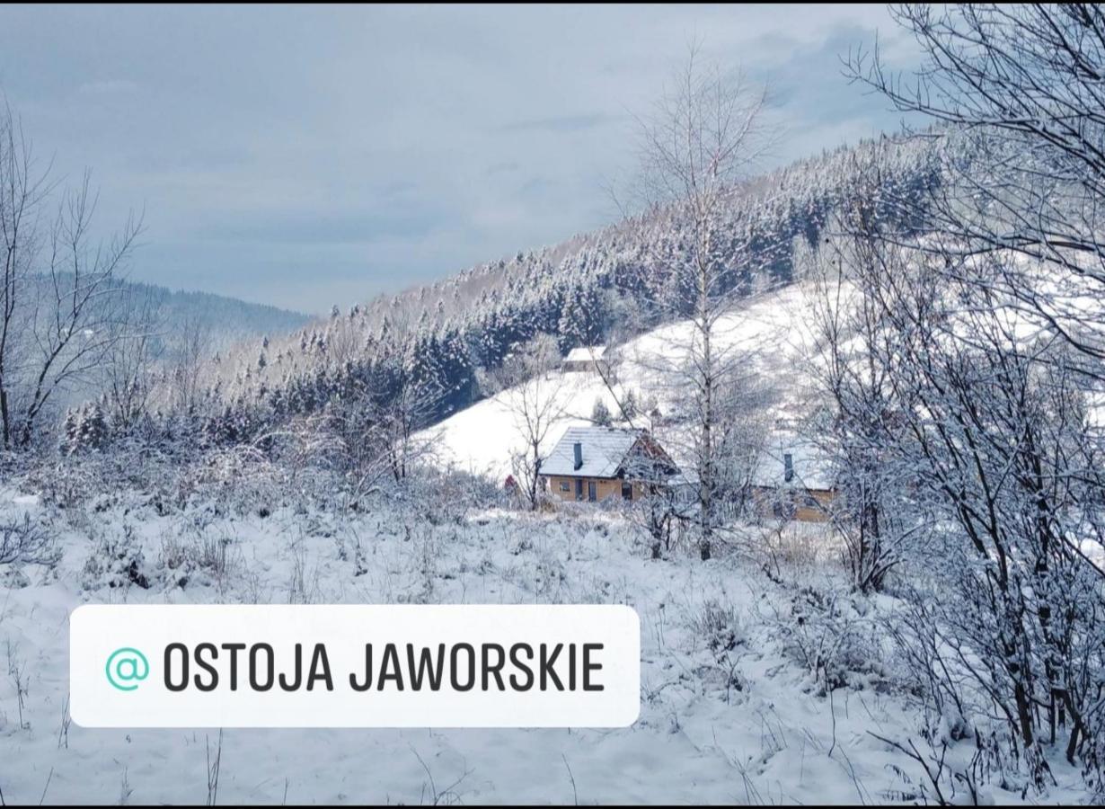 Ostoja Jaworskie Stryszawa Extérieur photo